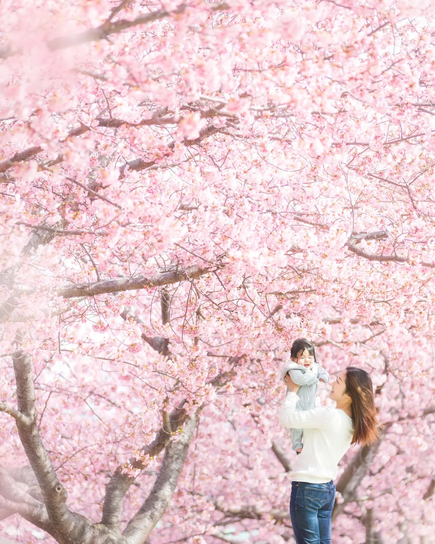 【河津桜撮影会開催します！】