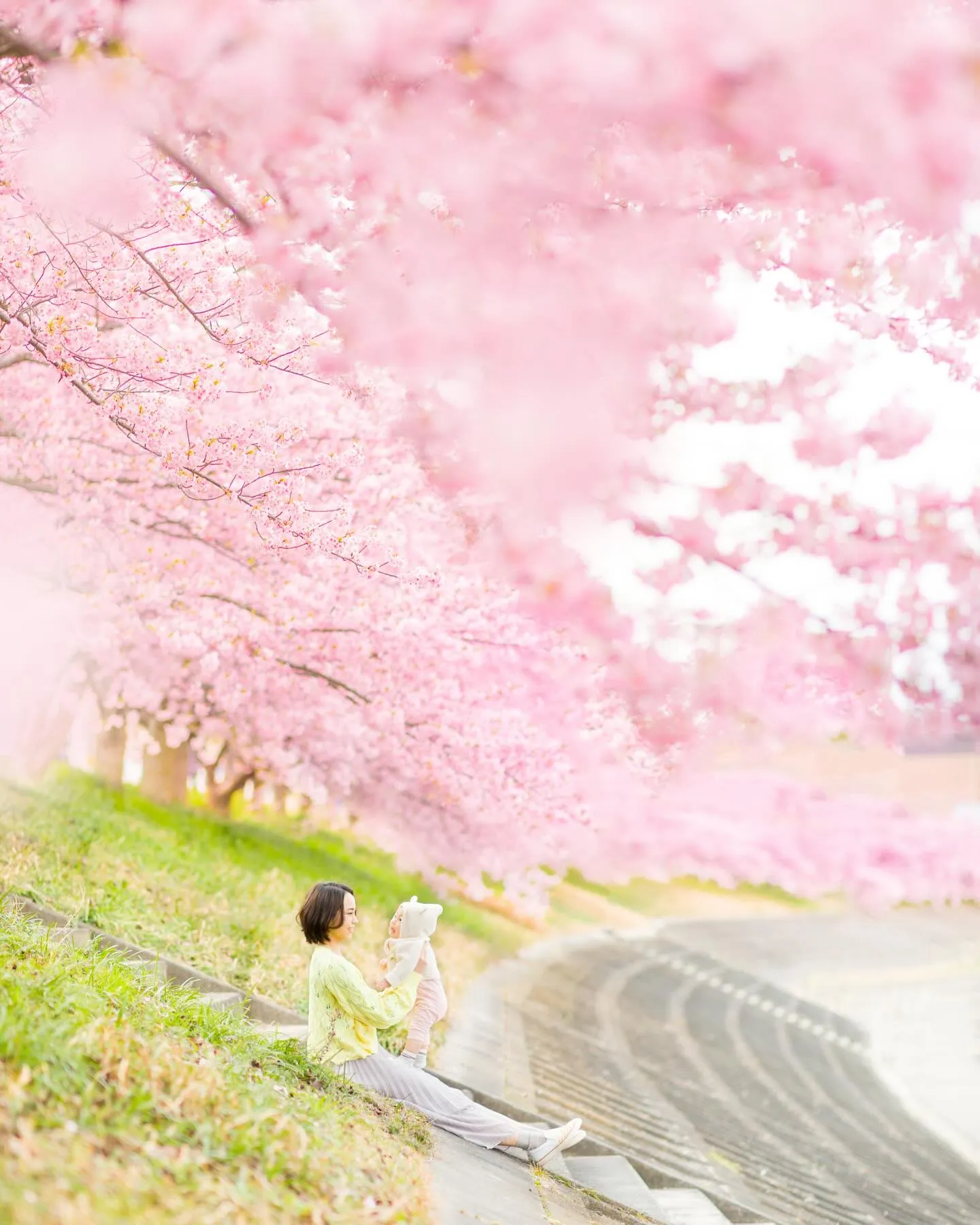 【河津桜撮影会開催します！】