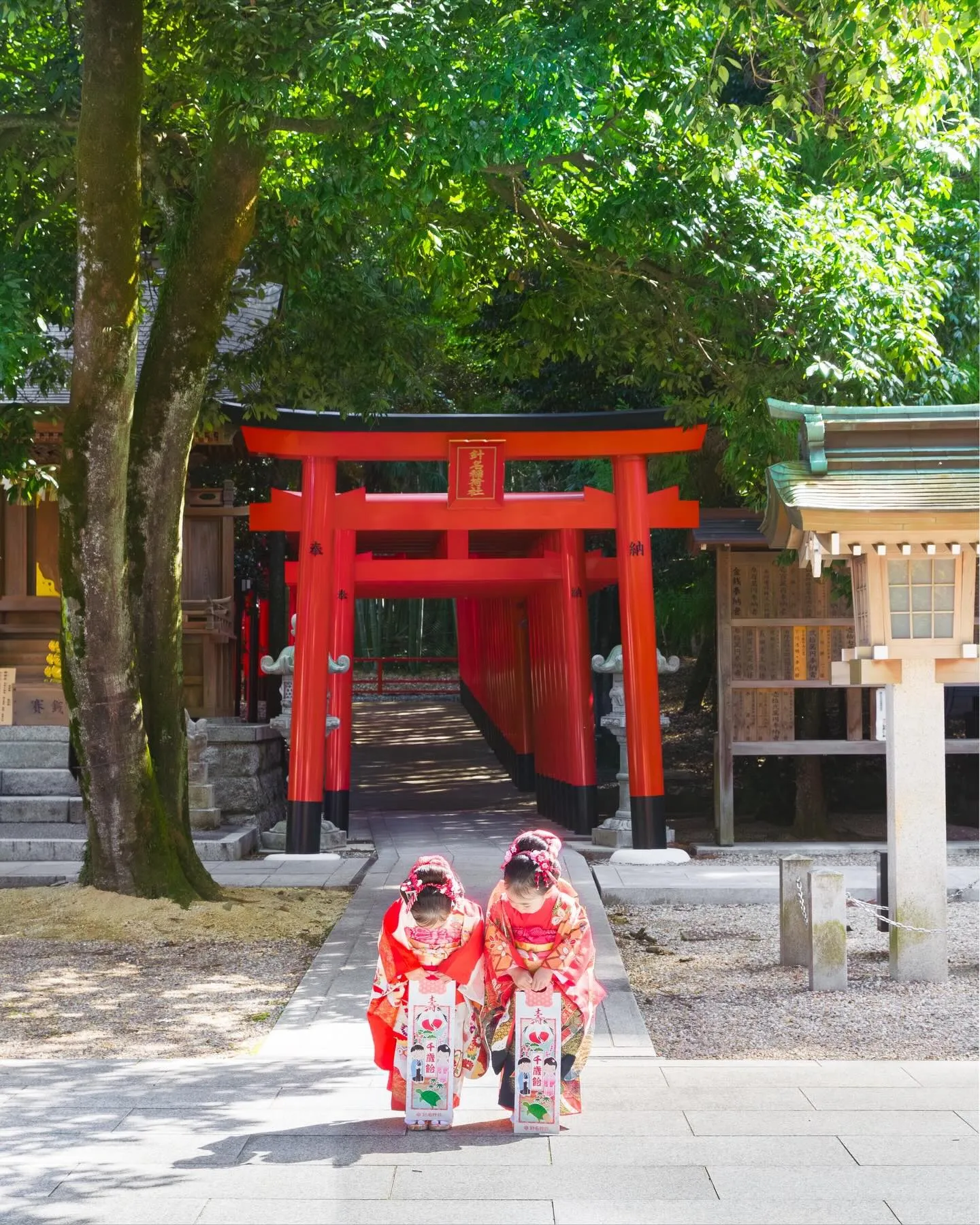 【春の七五三ロケーション】