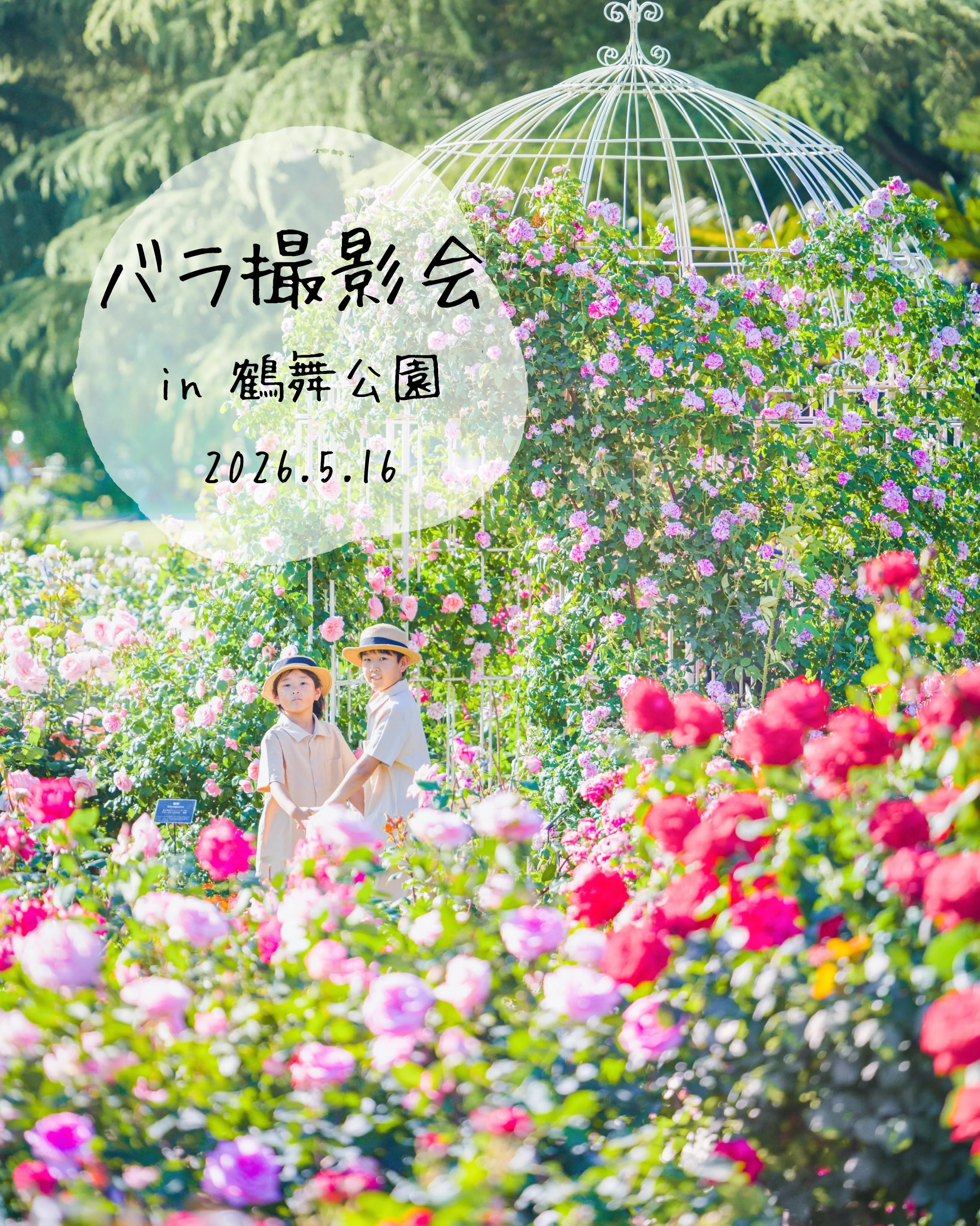 【5月16日バラ撮影会】