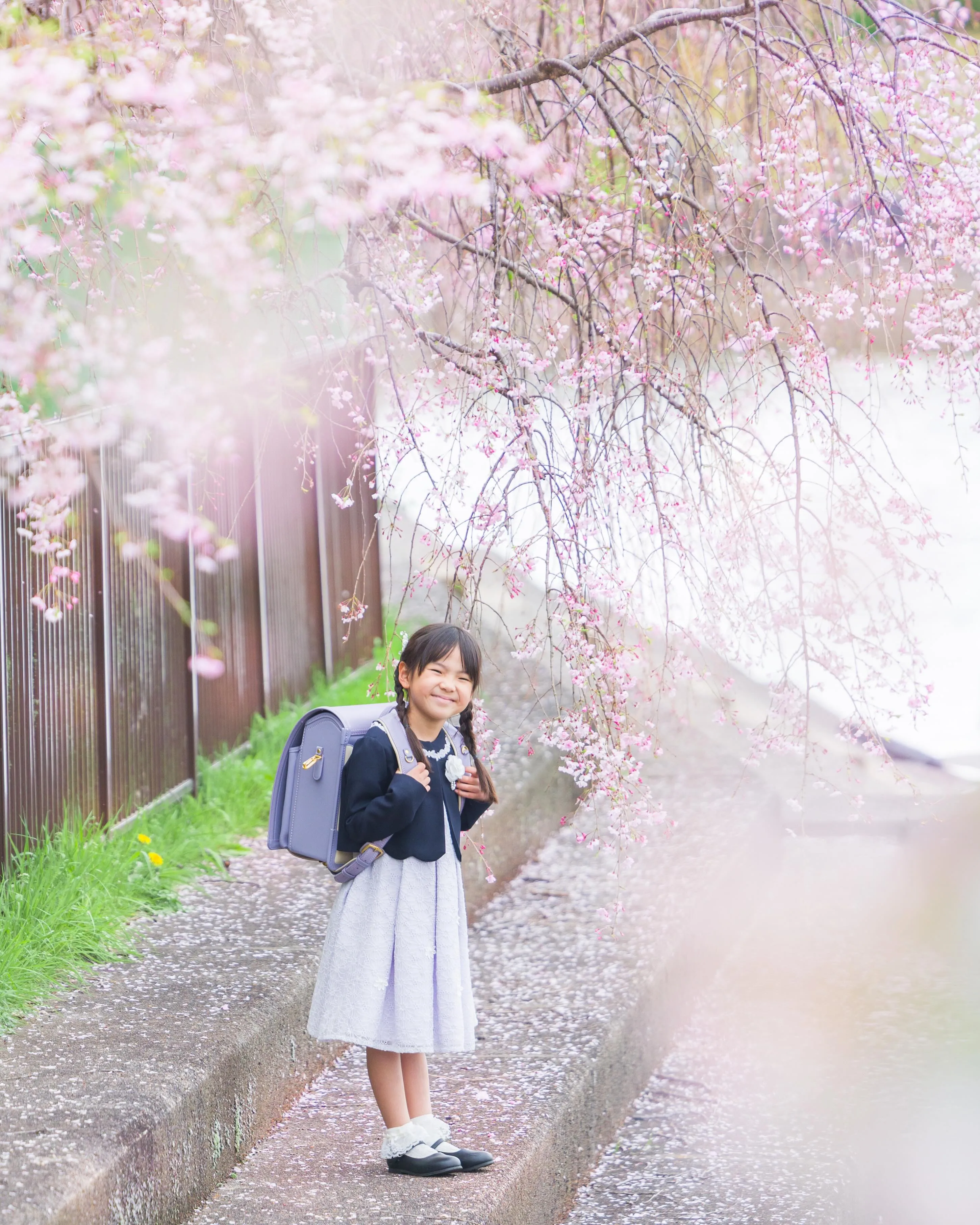【桜撮影会】