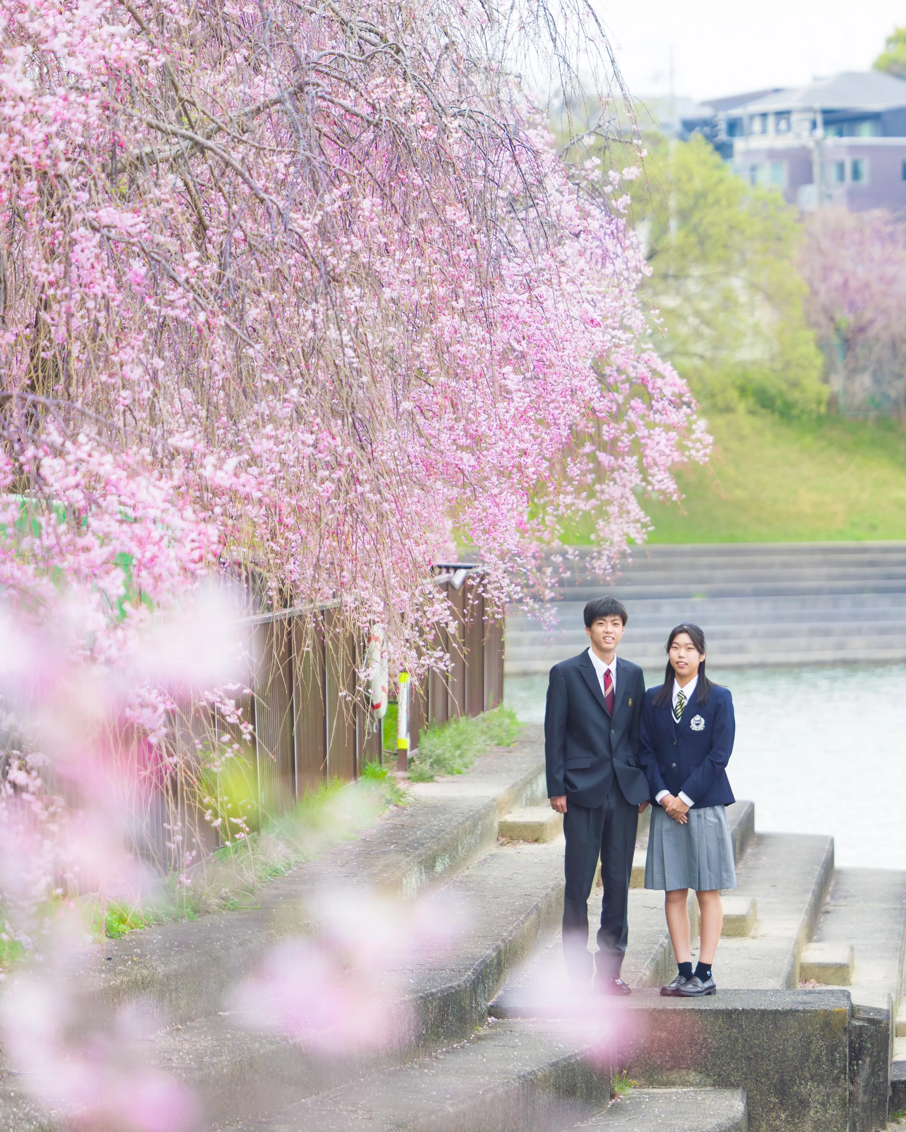 【桜撮影会】