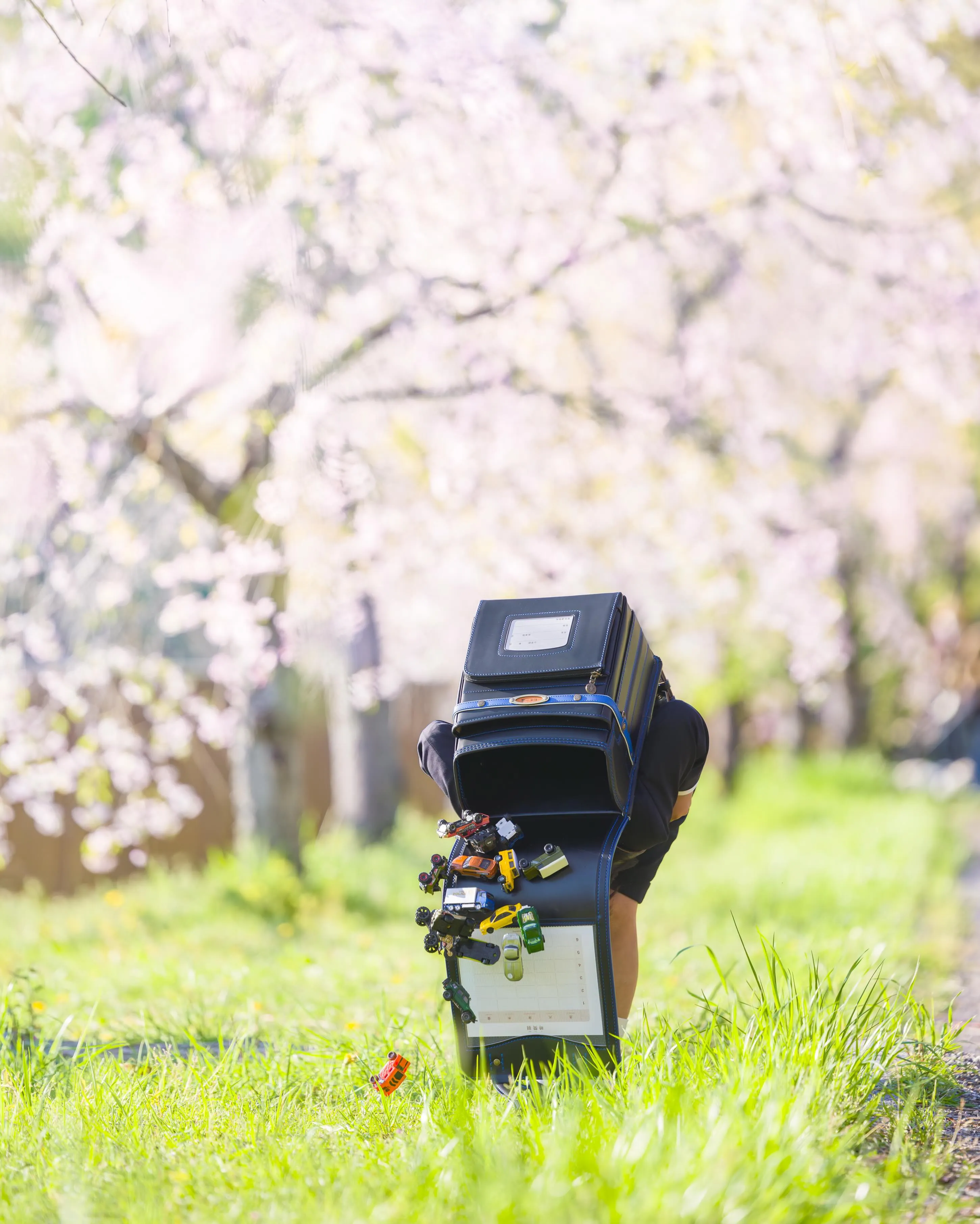 【桜撮影会】