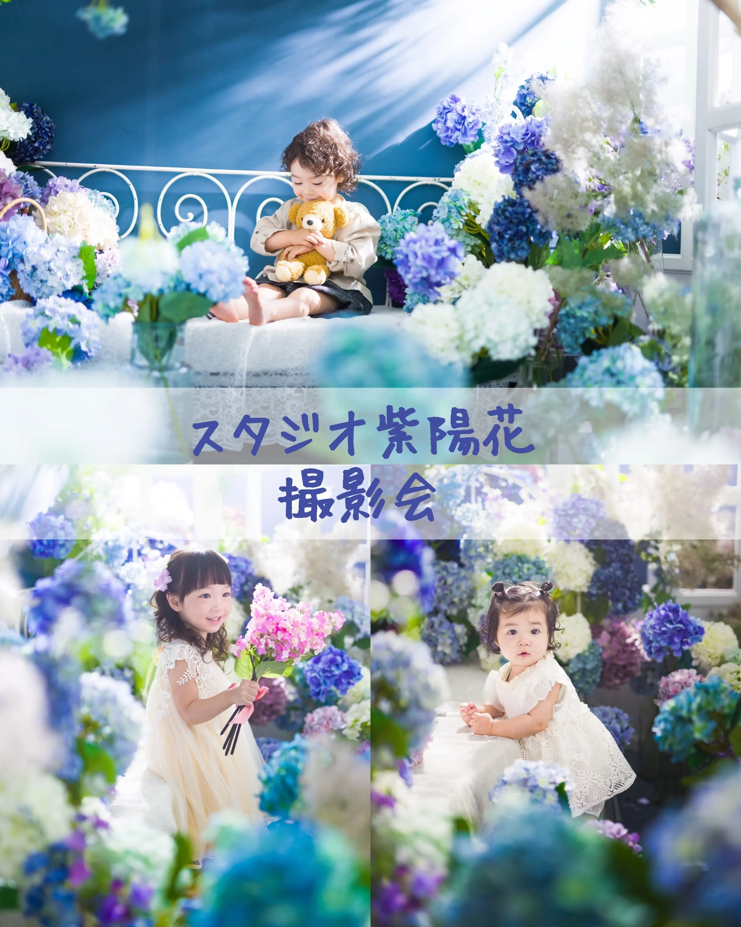 【スタジオ紫陽花撮影会】