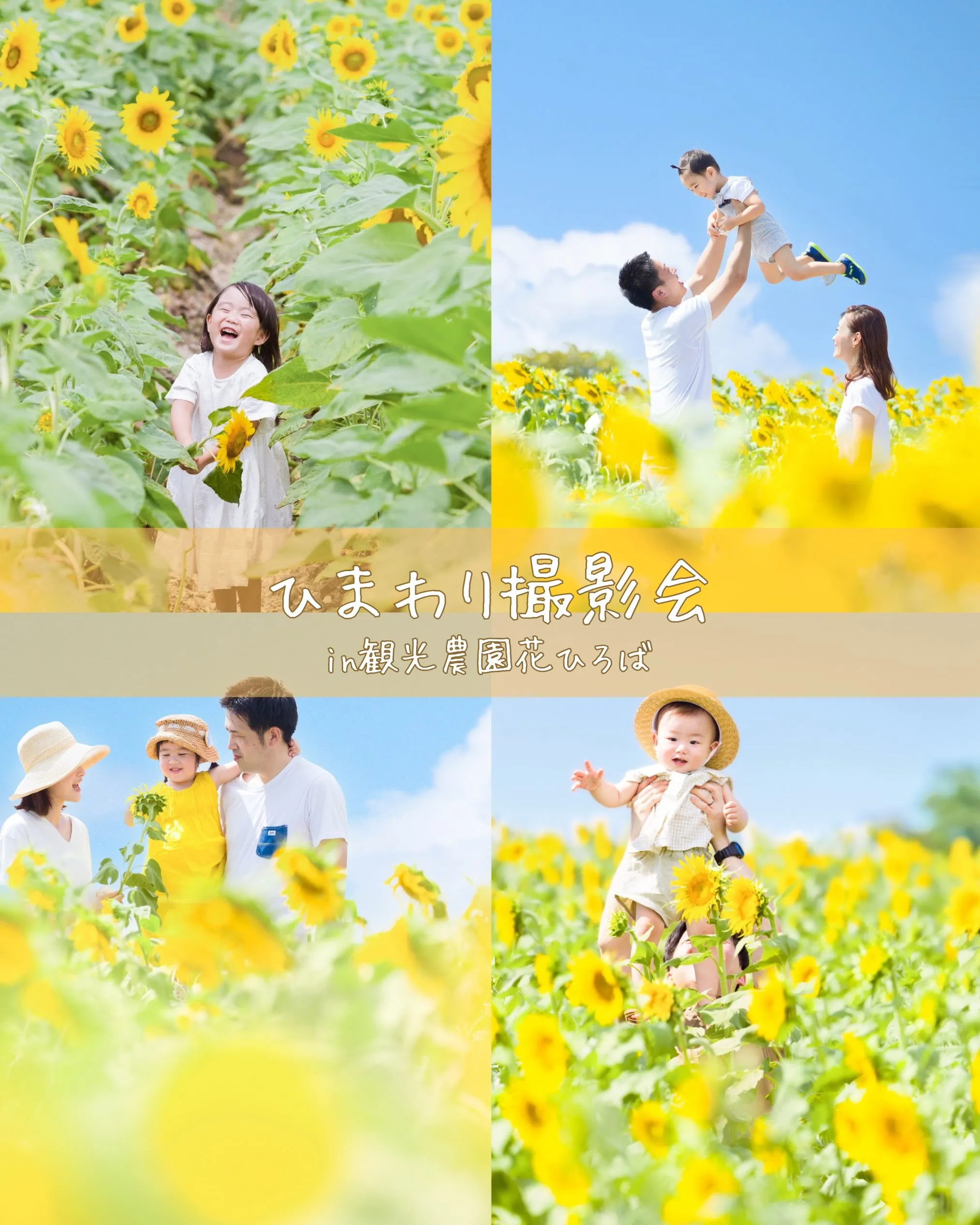【ひまわり撮影会開催致します🌻】