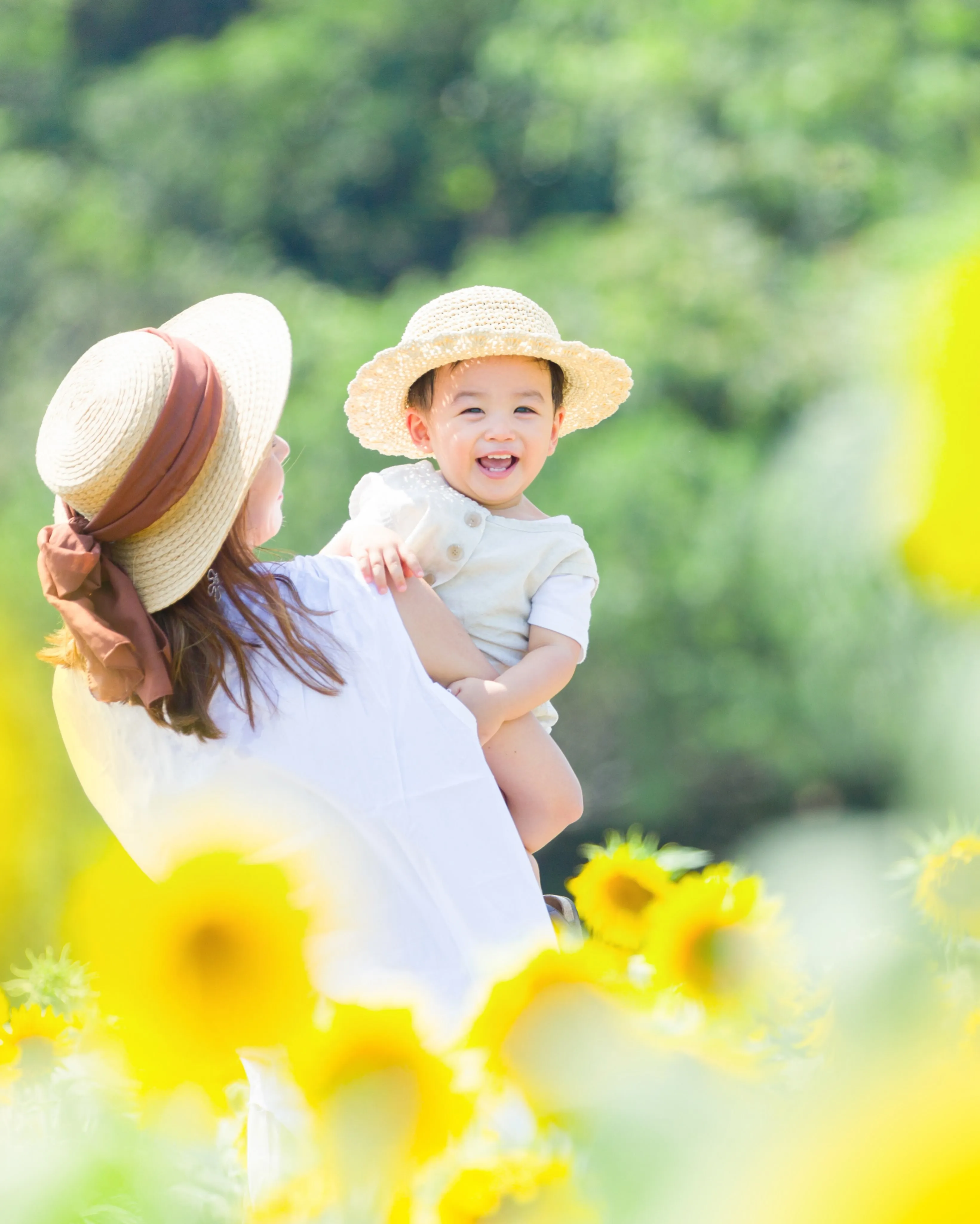 【ひまわり撮影会開催致します🌻】