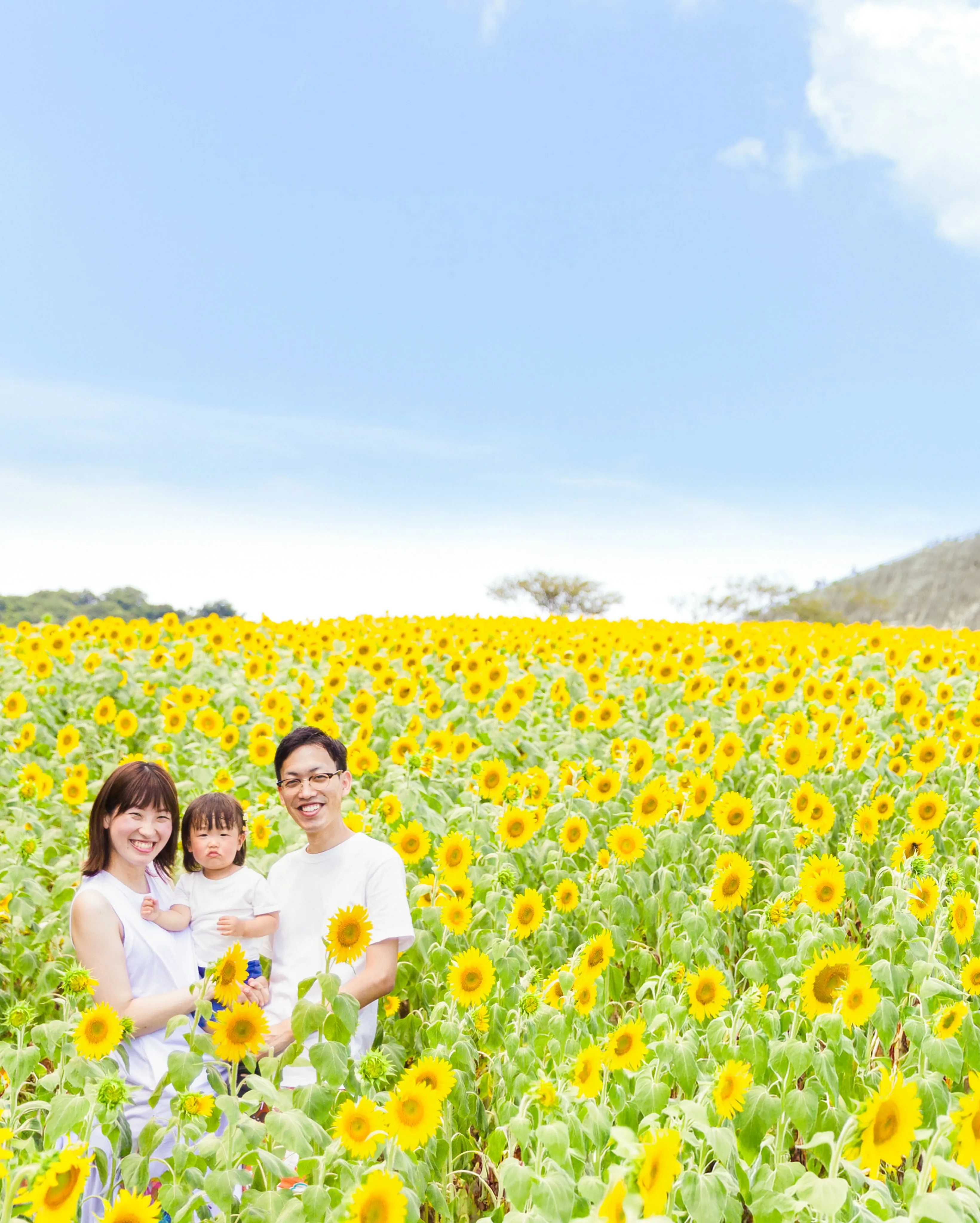 【ひまわり撮影会開催致します🌻】