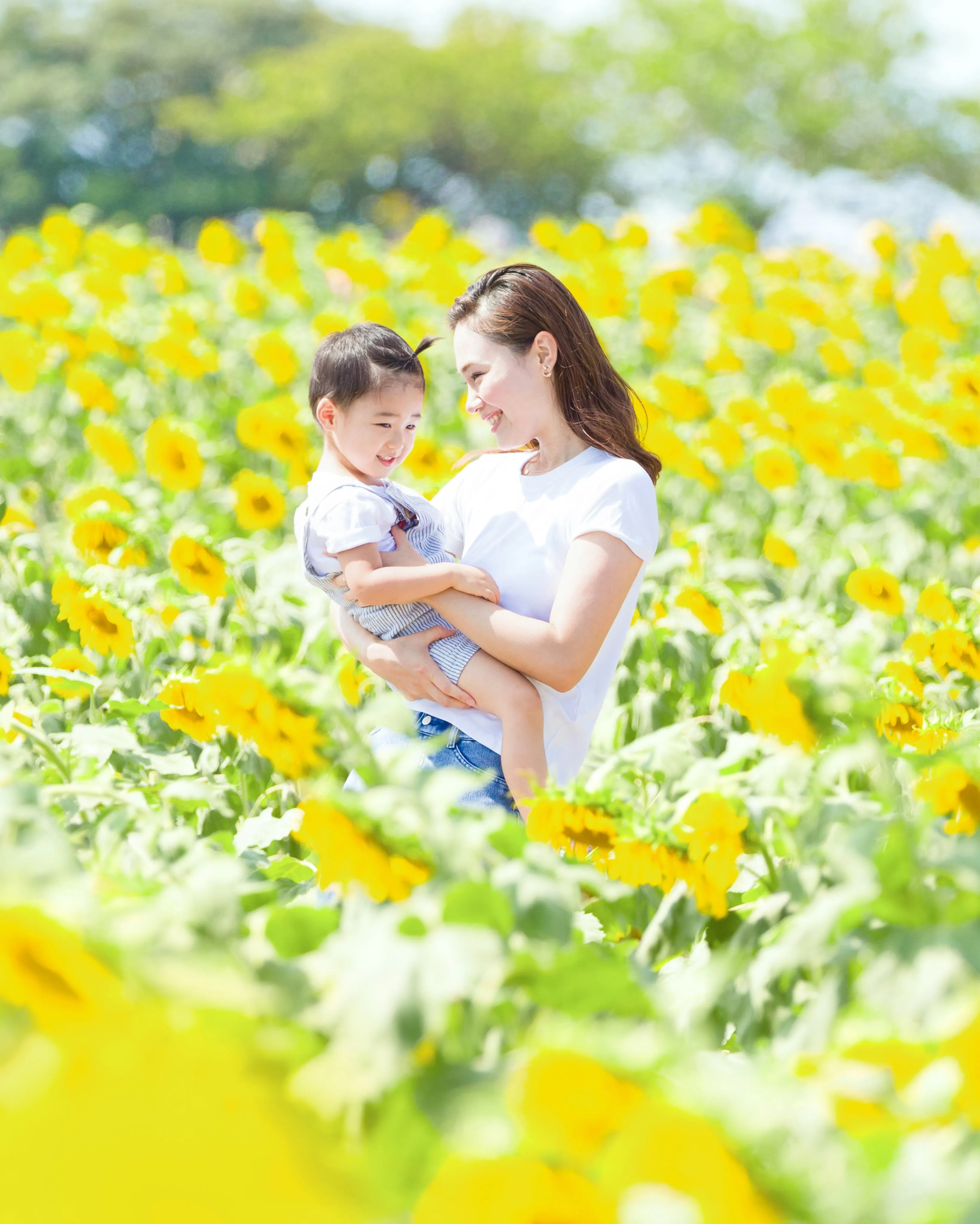【ひまわり撮影会開催致します🌻】