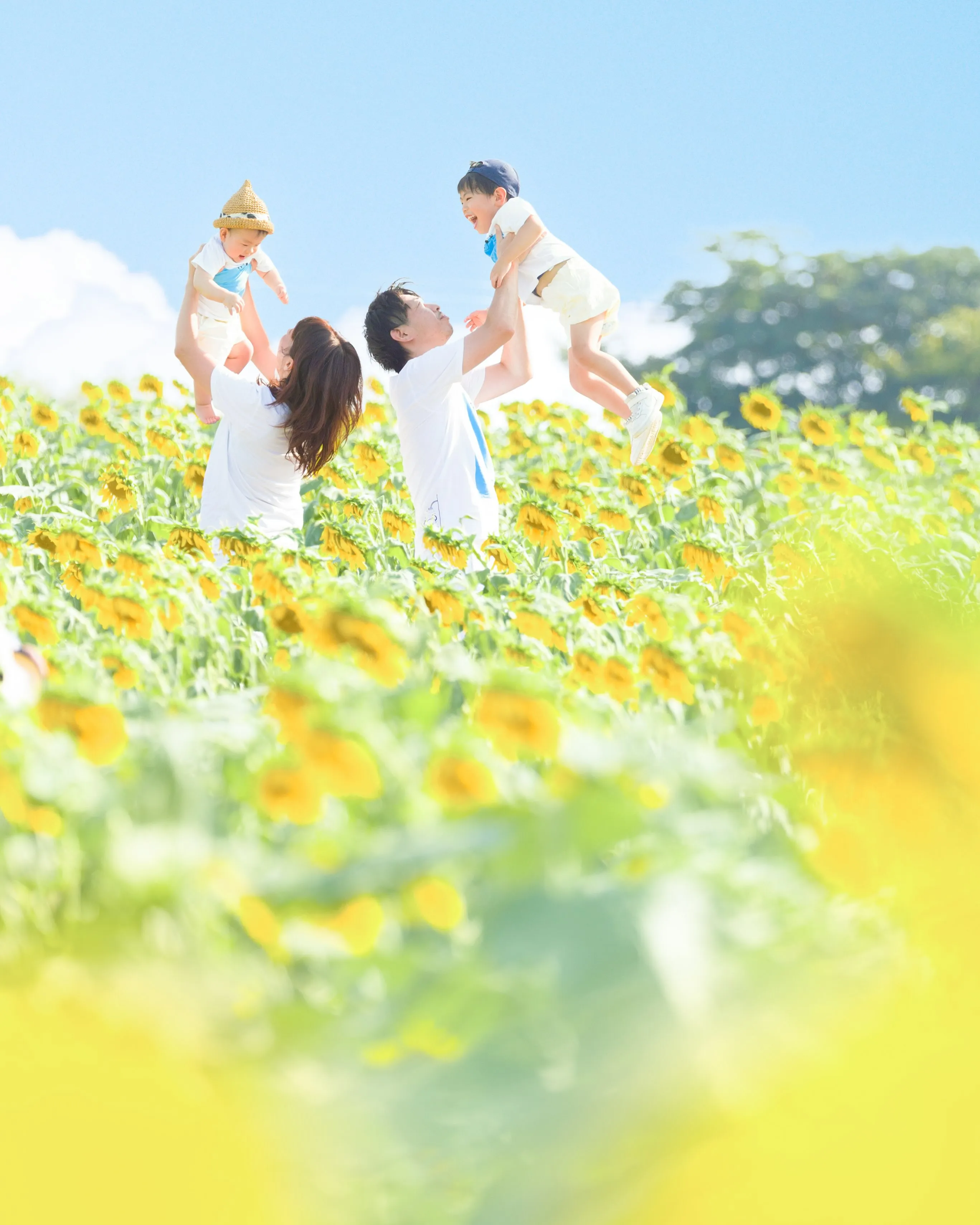 【ひまわり撮影会開催致します🌻】