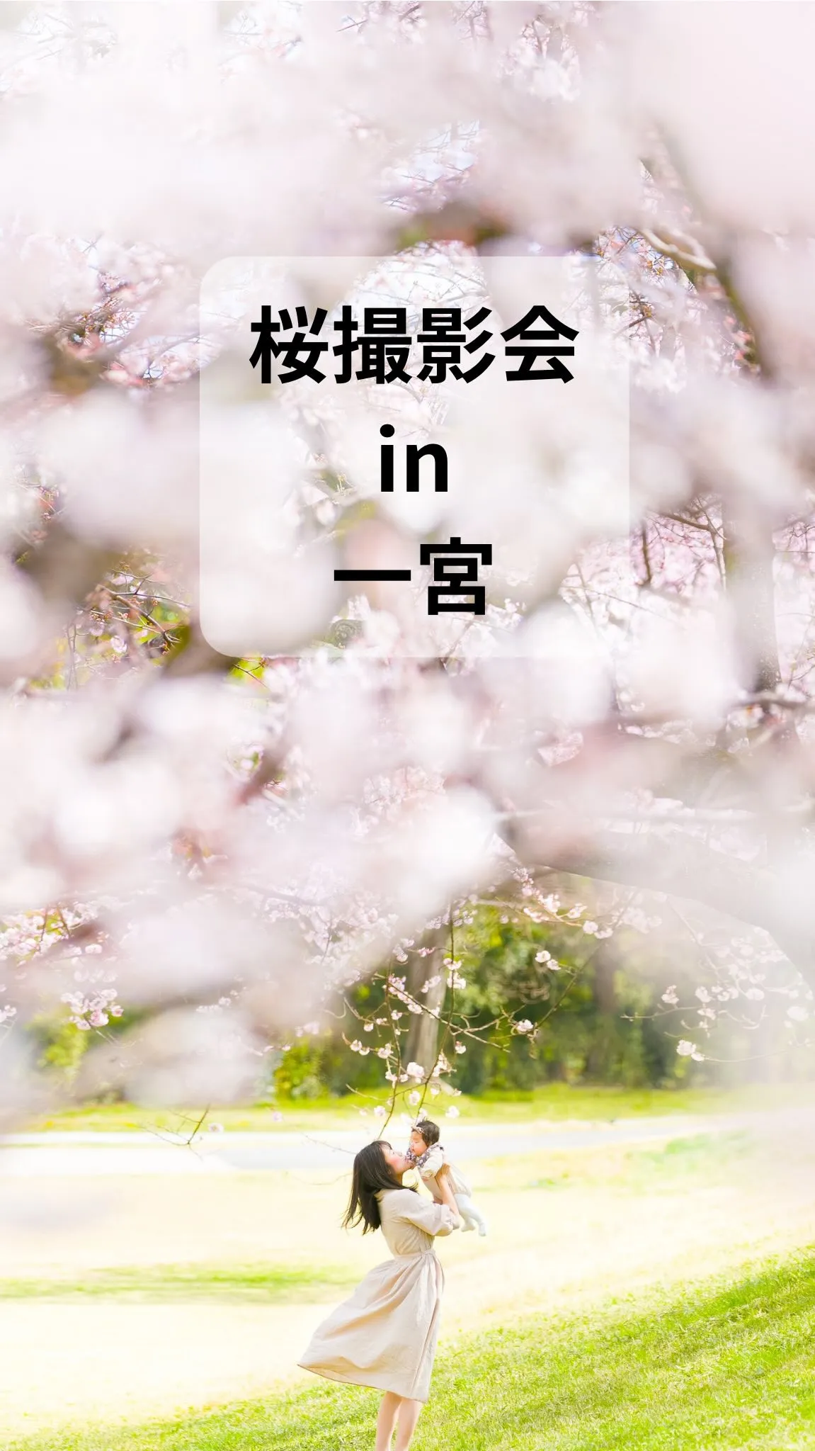 【桜撮影会2026in一宮】