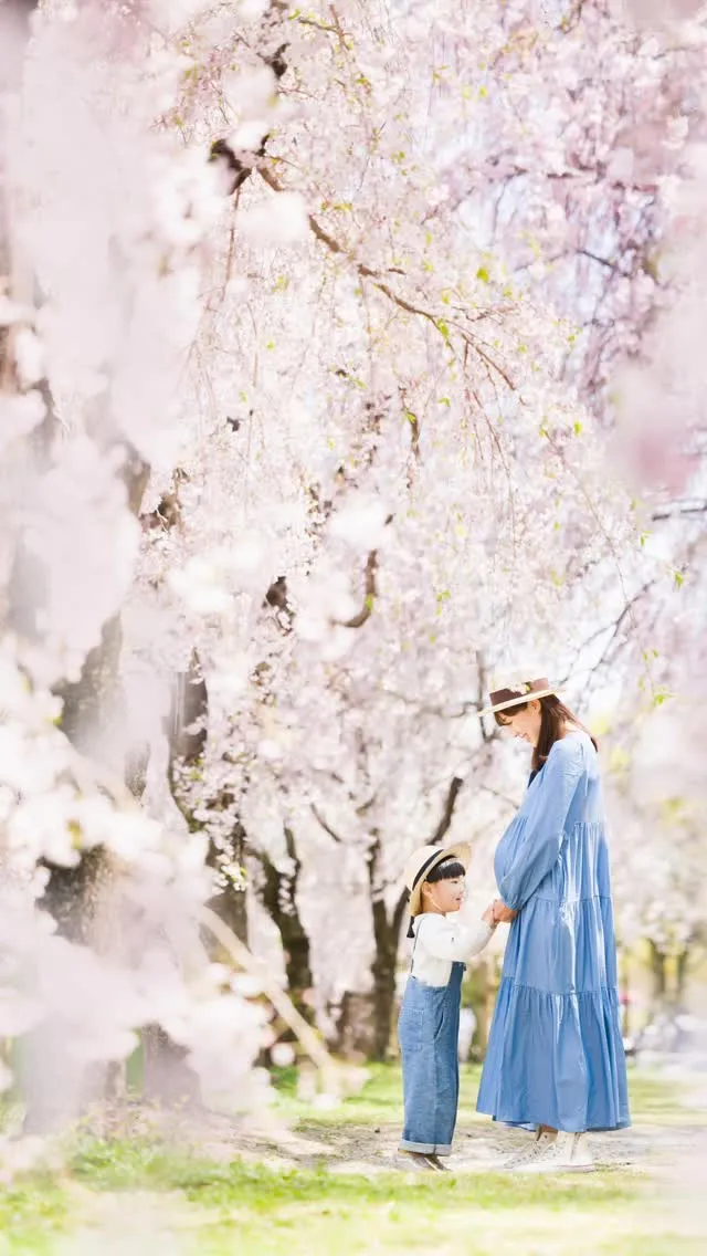 【桜撮影会2026in平和公園】